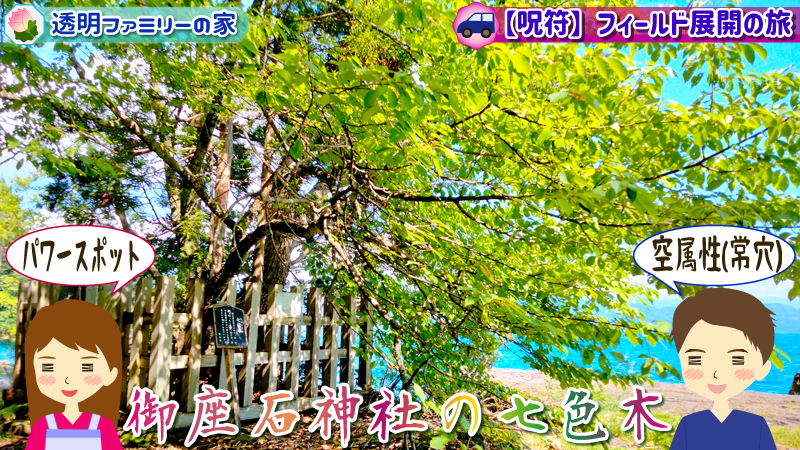 画像:透明先生のパワースポット田沢湖の御座石神社の七色木(空属性)