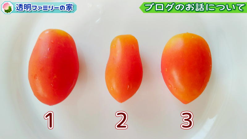 画像:トマトの「あの色、あの形、あの味」とは？